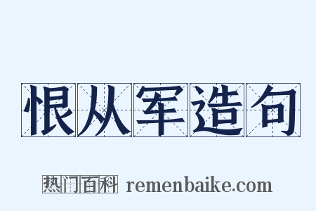 恨从军造句是什么意思的图片